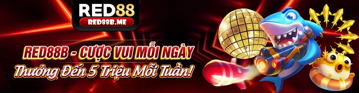Giao diện ứng dụng 456WIN trên điện thoại thông minh với các trò cá cược thể thao, casino và nổ hũ
