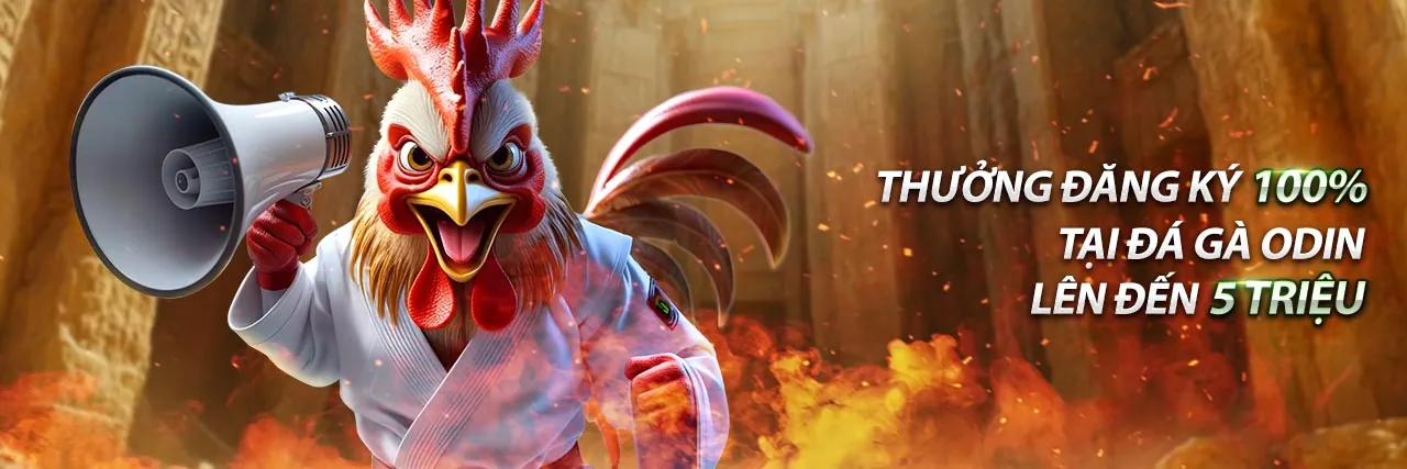 Tổng quan các trò chơi cá cược tại 456win