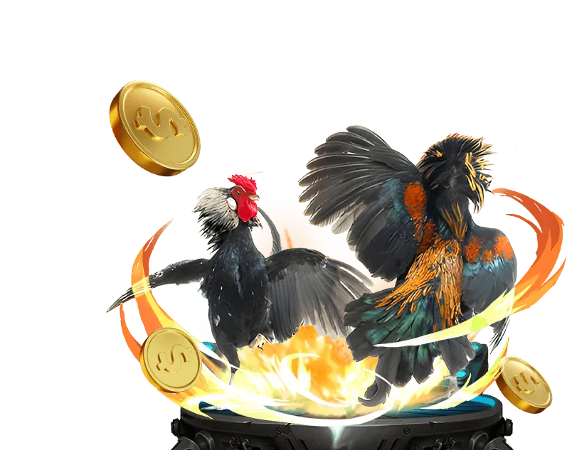 Nền tảng 456win an toàn và đáng tin cậy